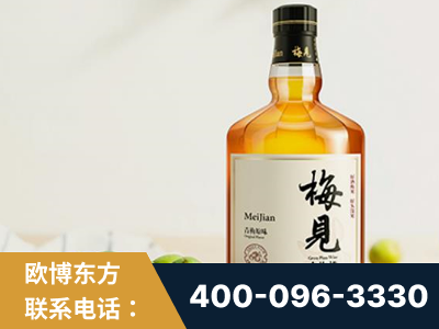 德惠-梅见青梅酒